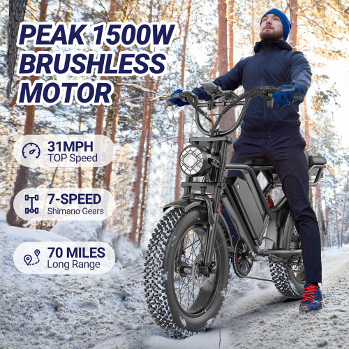 BK20 Fat Tire Electric Dirt Bike for Adults 48V 15.6AH Battery 750W Brushless Motor-US
