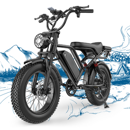 BK20 Fat Tire Electric Dirt Bike for Adults 48V 15.6AH Battery 750W Brushless Motor-US