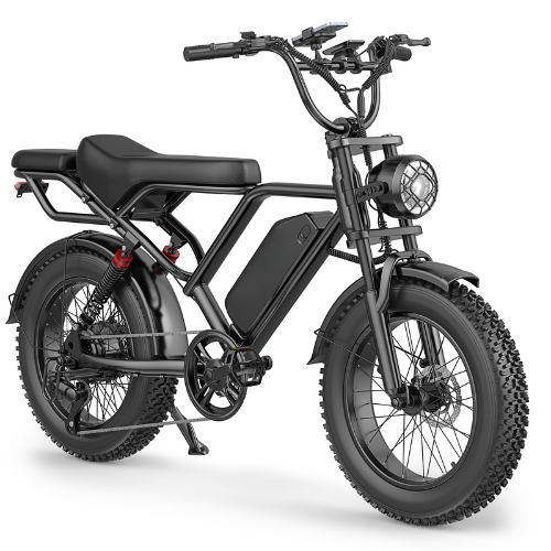 BK20 Fat Tire Electric Dirt Bike for Adults 48V 15.6AH Battery 750W Brushless Motor-US