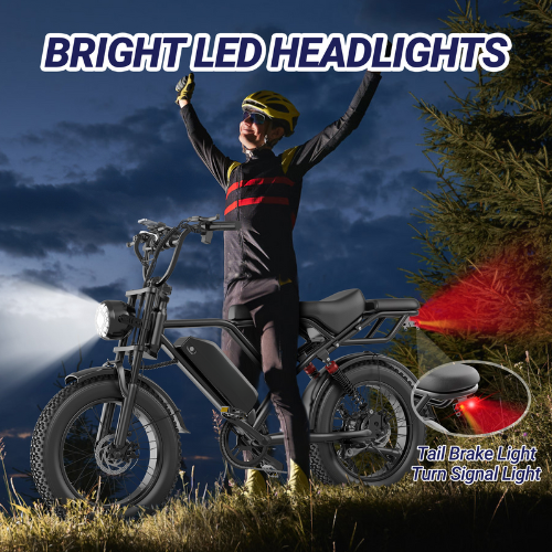 BK20 Fat Tire Electric Dirt Bike for Adults 48V 15.6AH Battery 750W Brushless Motor-US