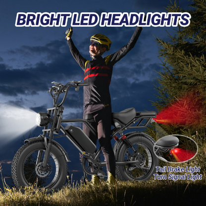 BK20 Fat Tire Electric Dirt Bike for Adults 48V 15.6AH Battery 750W Brushless Motor-US