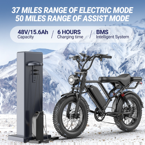 BK20 Fat Tire Electric Dirt Bike for Adults 48V 15.6AH Battery 750W Brushless Motor-US