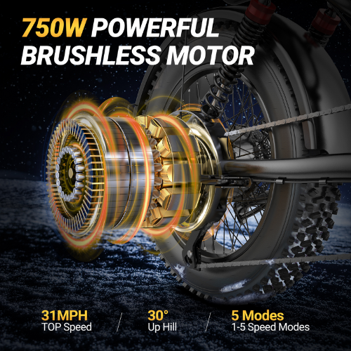 BK20 Fat Tire Electric Dirt Bike for Adults 48V 15.6AH Battery 750W Brushless Motor-US