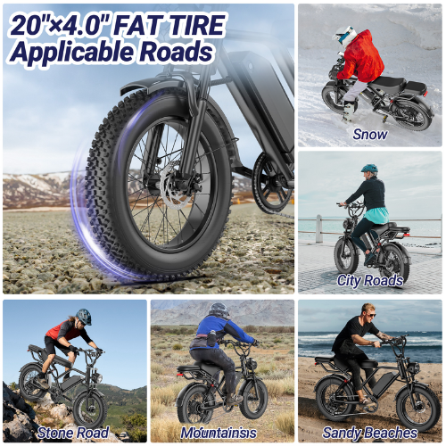 BK20 Fat Tire Electric Dirt Bike for Adults 48V 15.6AH Battery 750W Brushless Motor-US